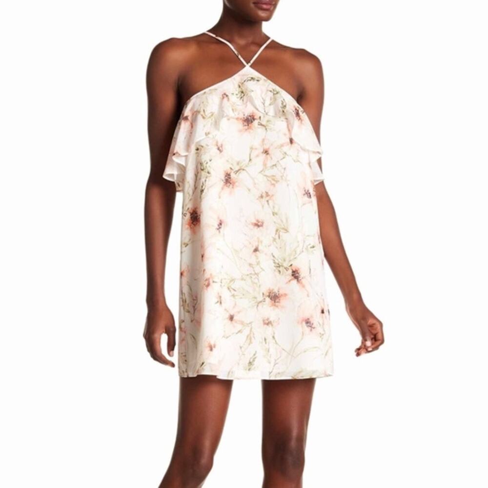 NWOT Haute Hippie Ashbury Floral Print Ruffle Mini Dress, Size S